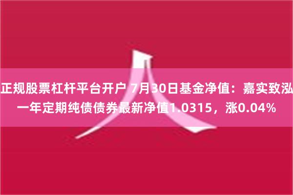 正规股票杠杆平台开户 7月30日基金净值：嘉实致泓一年定期纯债债券最新净值1.0315，涨0.04%