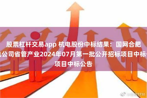 股票杠杆交易app 杭电股份中标结果：国网合肥供电公司省管产业2024年07月第一批公开招标项目中标公告