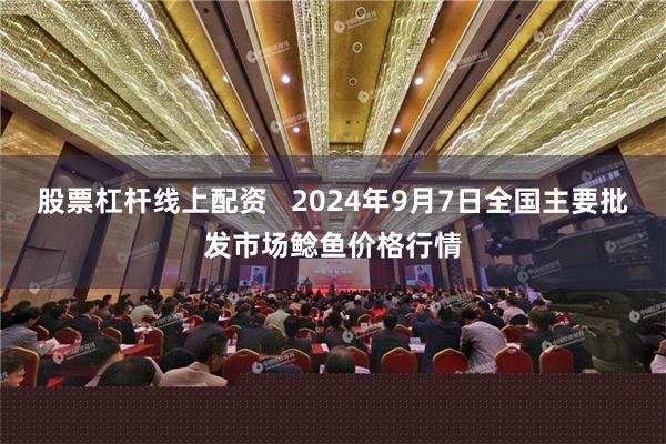 股票杠杆线上配资   2024年9月7日全国主要批发市场鲶鱼价格行情