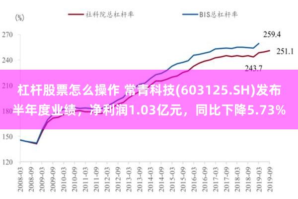 杠杆股票怎么操作 常青科技(603125.SH)发布半年度业绩，净利润1.03亿元，同比下降5.73%