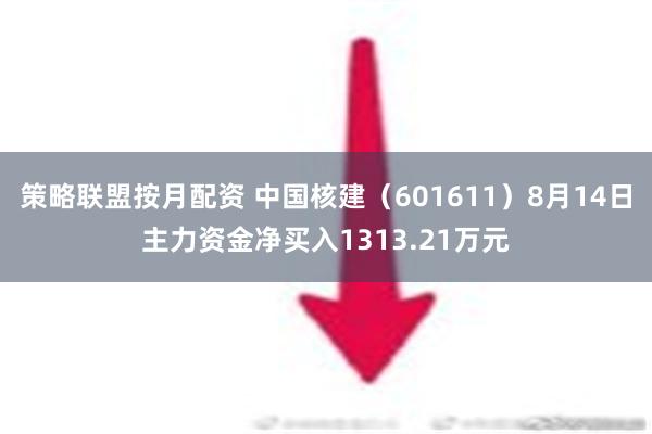 策略联盟按月配资 中国核建（601611）8月14日主力资金净买入1313.21万元