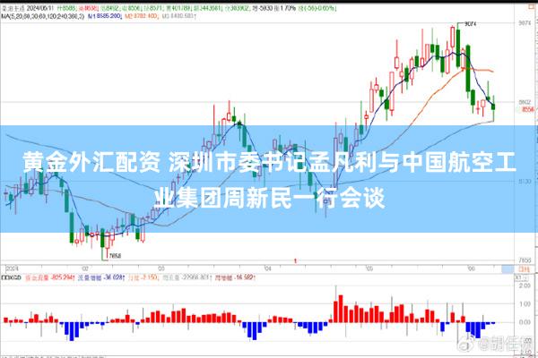 黄金外汇配资 深圳市委书记孟凡利与中国航空工业集团周新民一行会谈