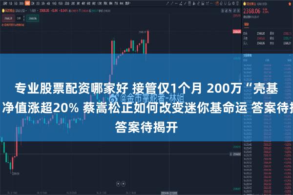 专业股票配资哪家好 接管仅1个月 200万“壳基金”净值涨超20% 蔡嵩松正如何改变迷你基命运 答案待揭开