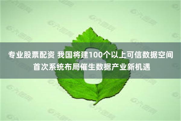 专业股票配资 我国将建100个以上可信数据空间 首次系统布局催生数据产业新机遇