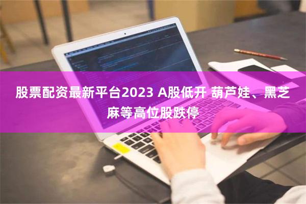 股票配资最新平台2023 A股低开 葫芦娃、黑芝麻等高位股跌停