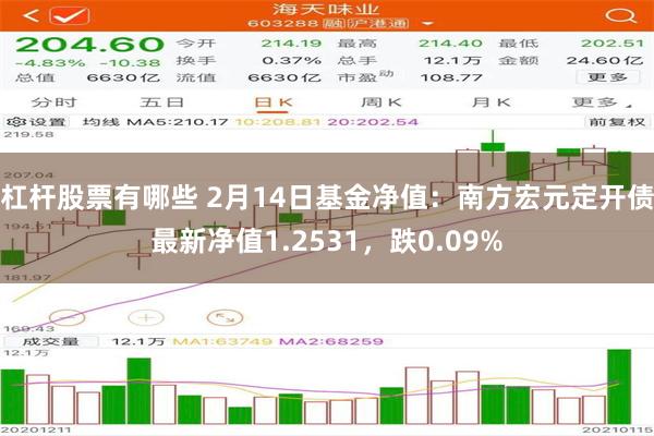 杠杆股票有哪些 2月14日基金净值：南方宏元定开债最新净值1.2531，跌0.09%